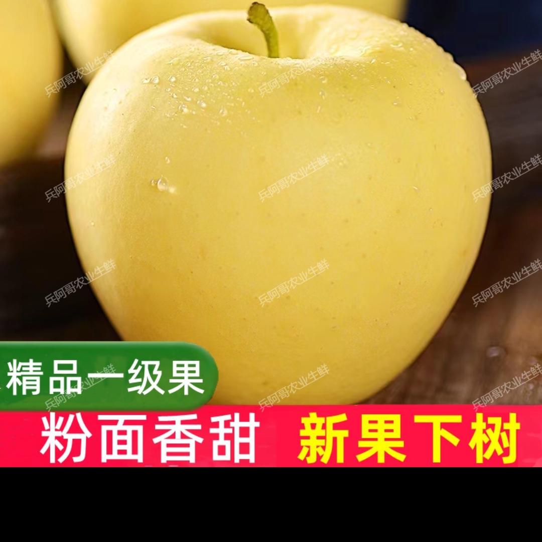 莉莉甄选百果园