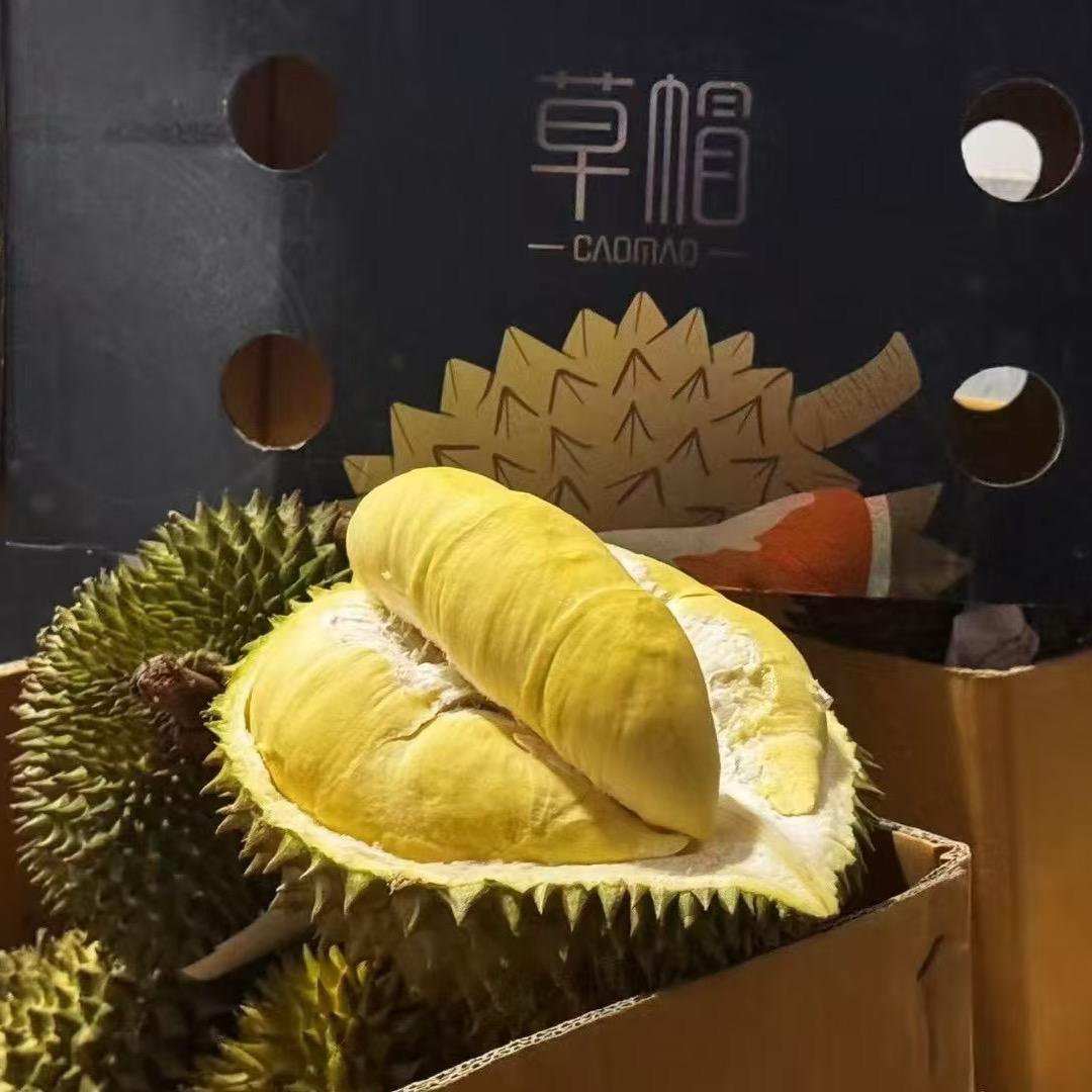 草帽榴莲  阿白