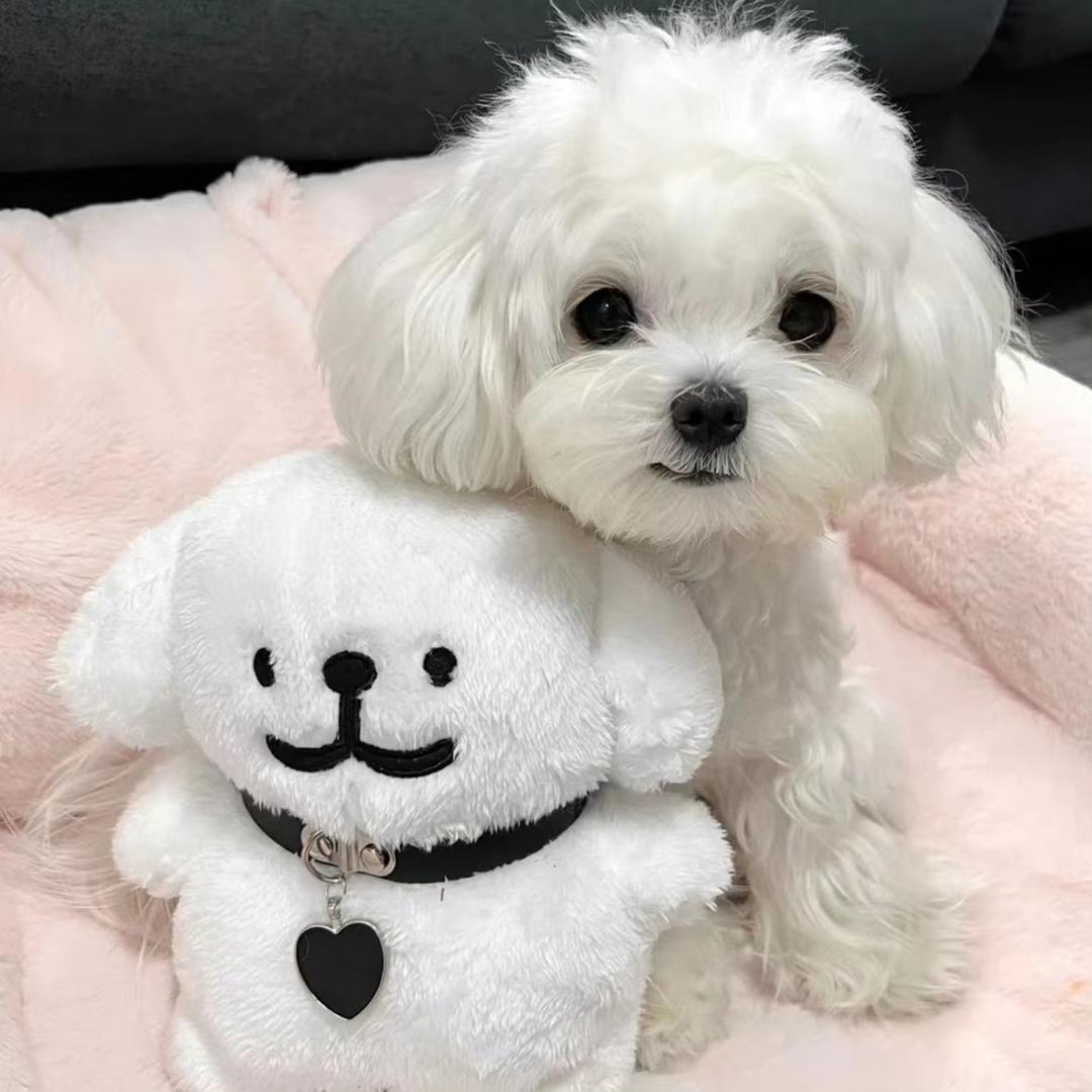 发财致富耶