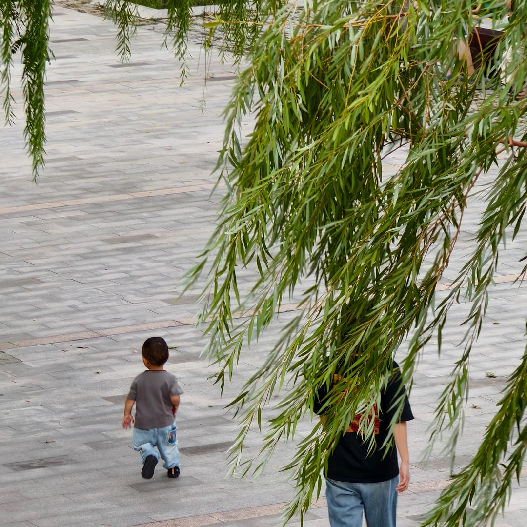 财神爷的小跟班💰