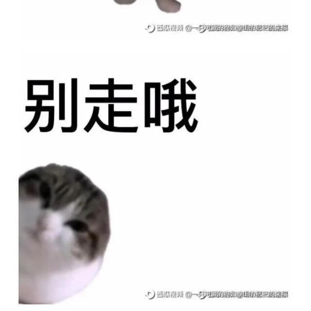 用户