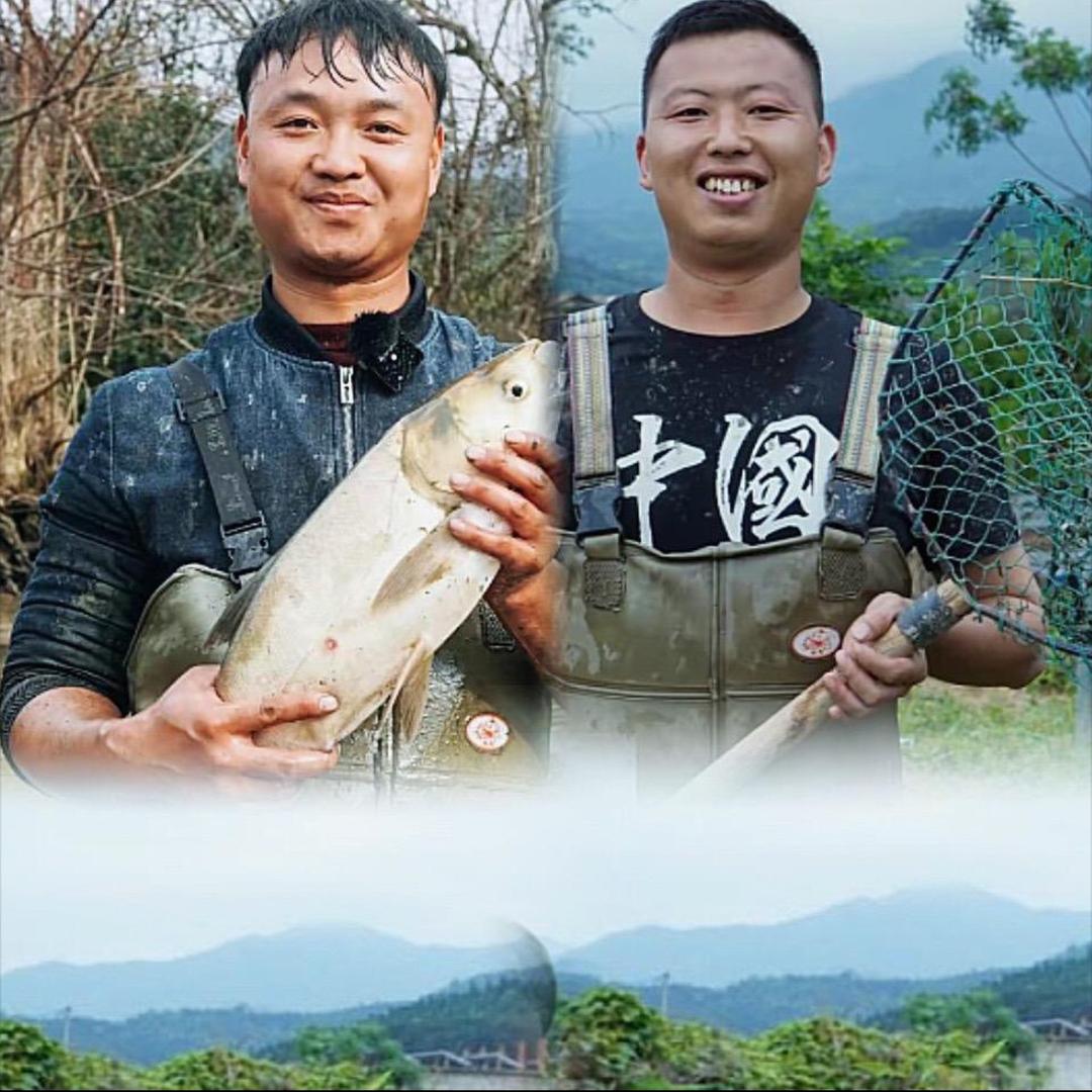 大表哥抓鱼日常（生活版）