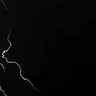 小狗今天吃什么