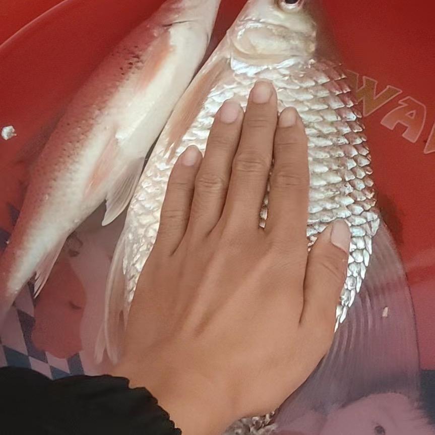 向阳而生！