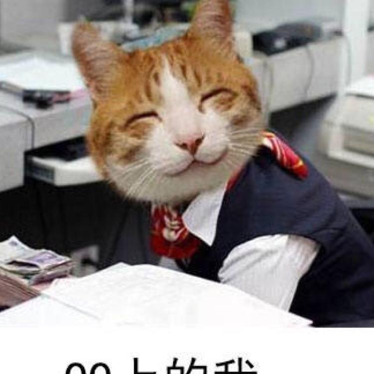 不靠谱的丸子