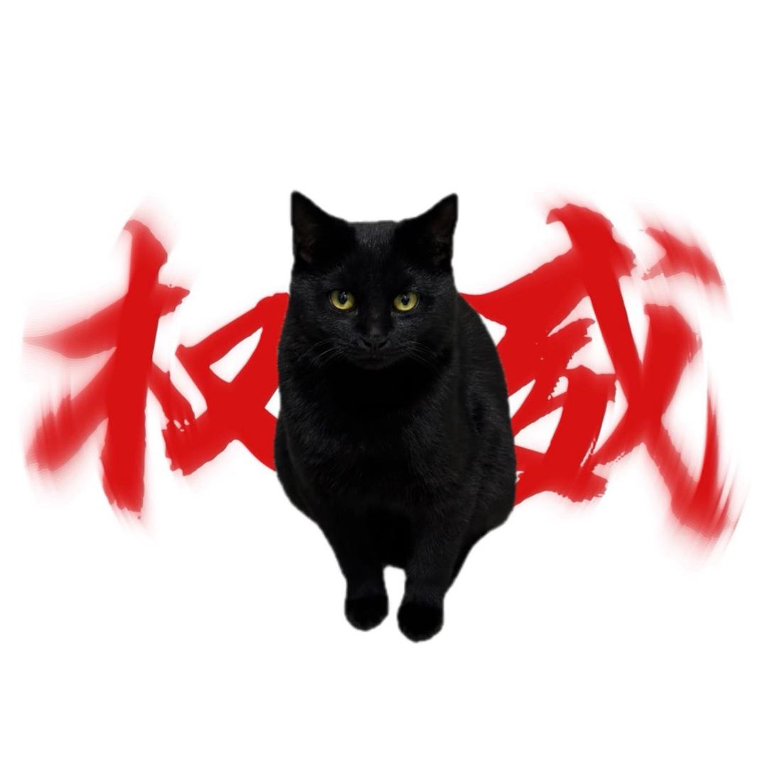 美女且无敌