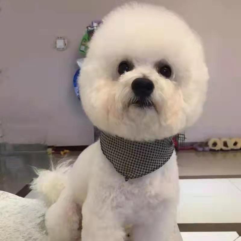 萌宠小镇^_^