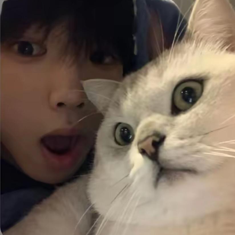 念.