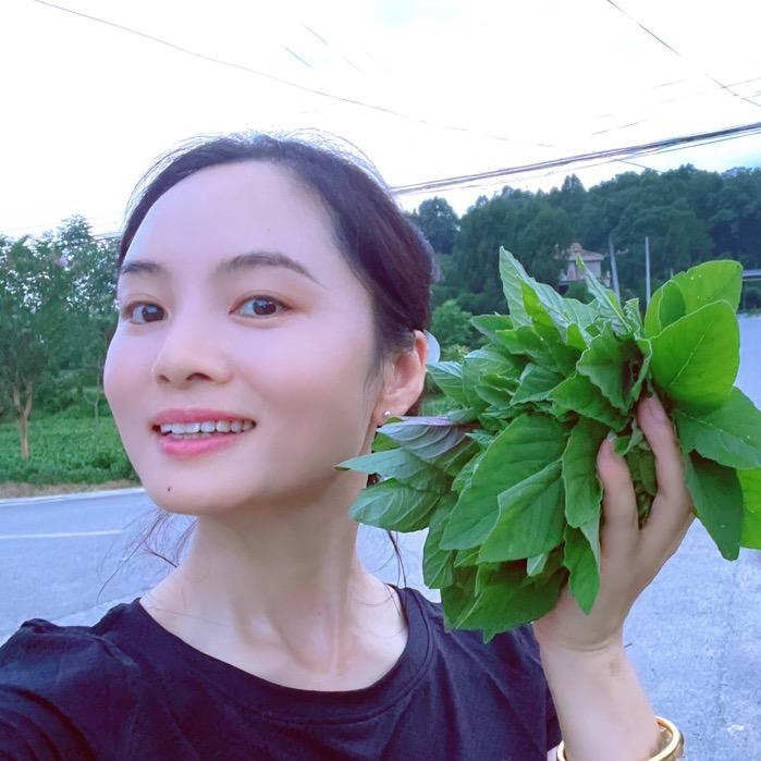 小茶仙儿