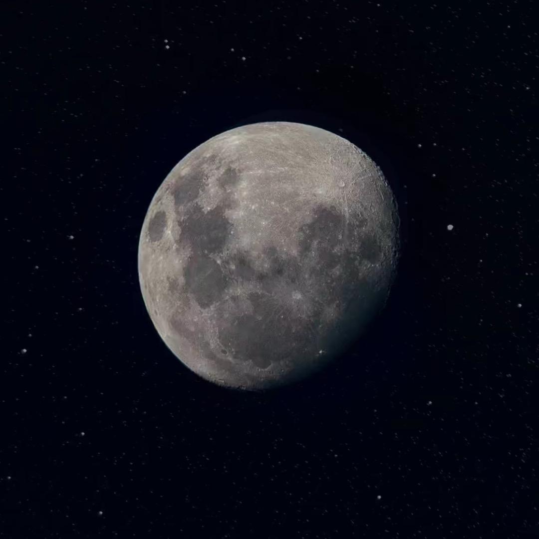 活着便精彩