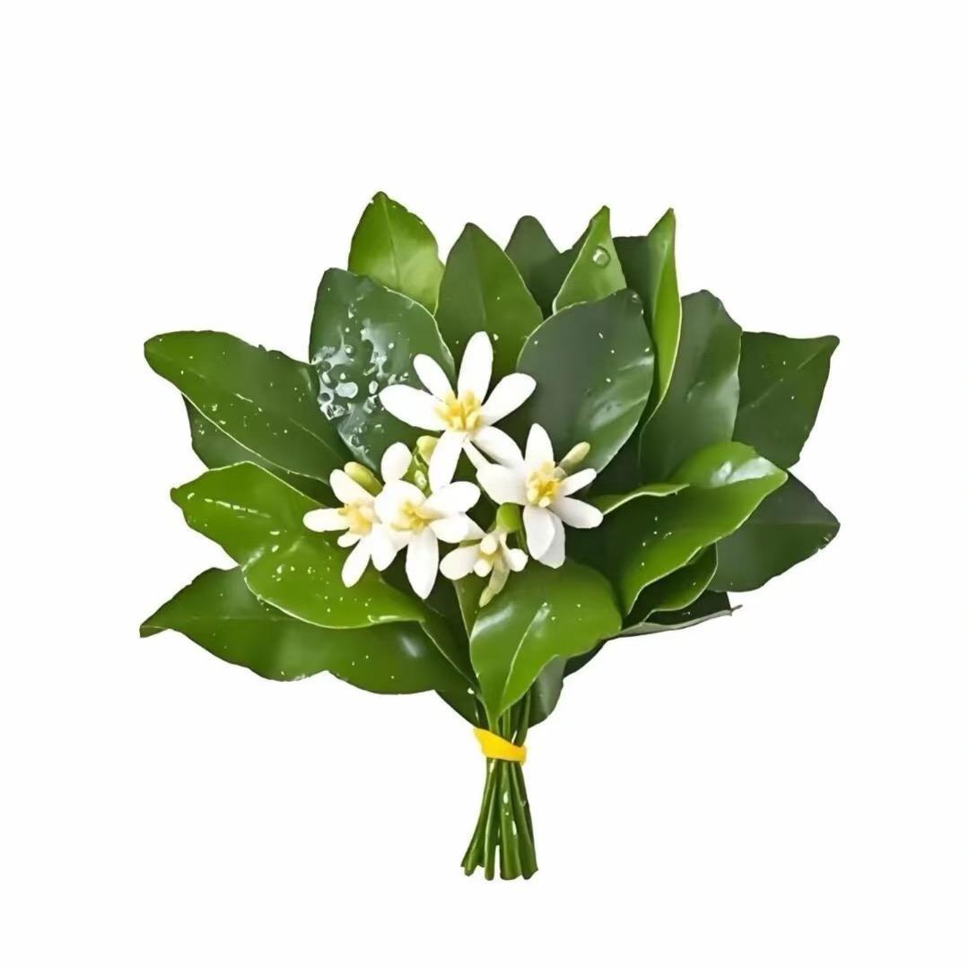 香蕉面包（不要买180的限定