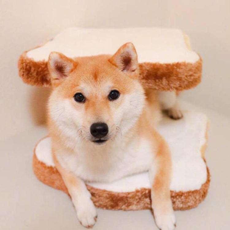 太阳升起的方向