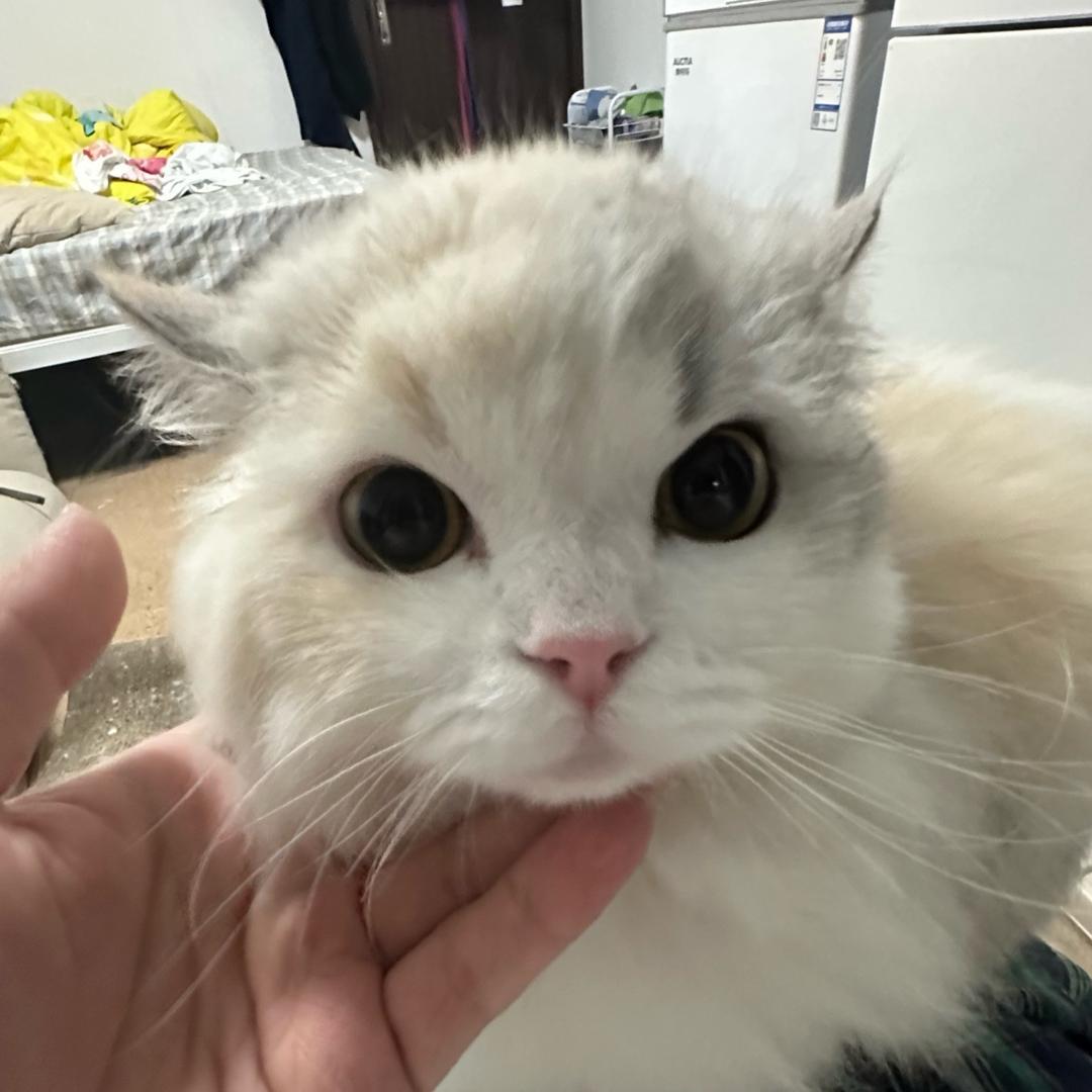 不必辨认我