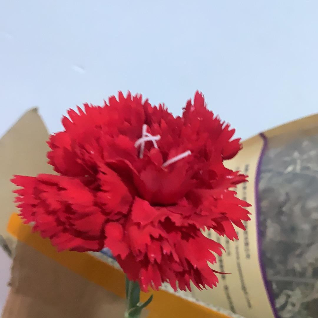 小虎子