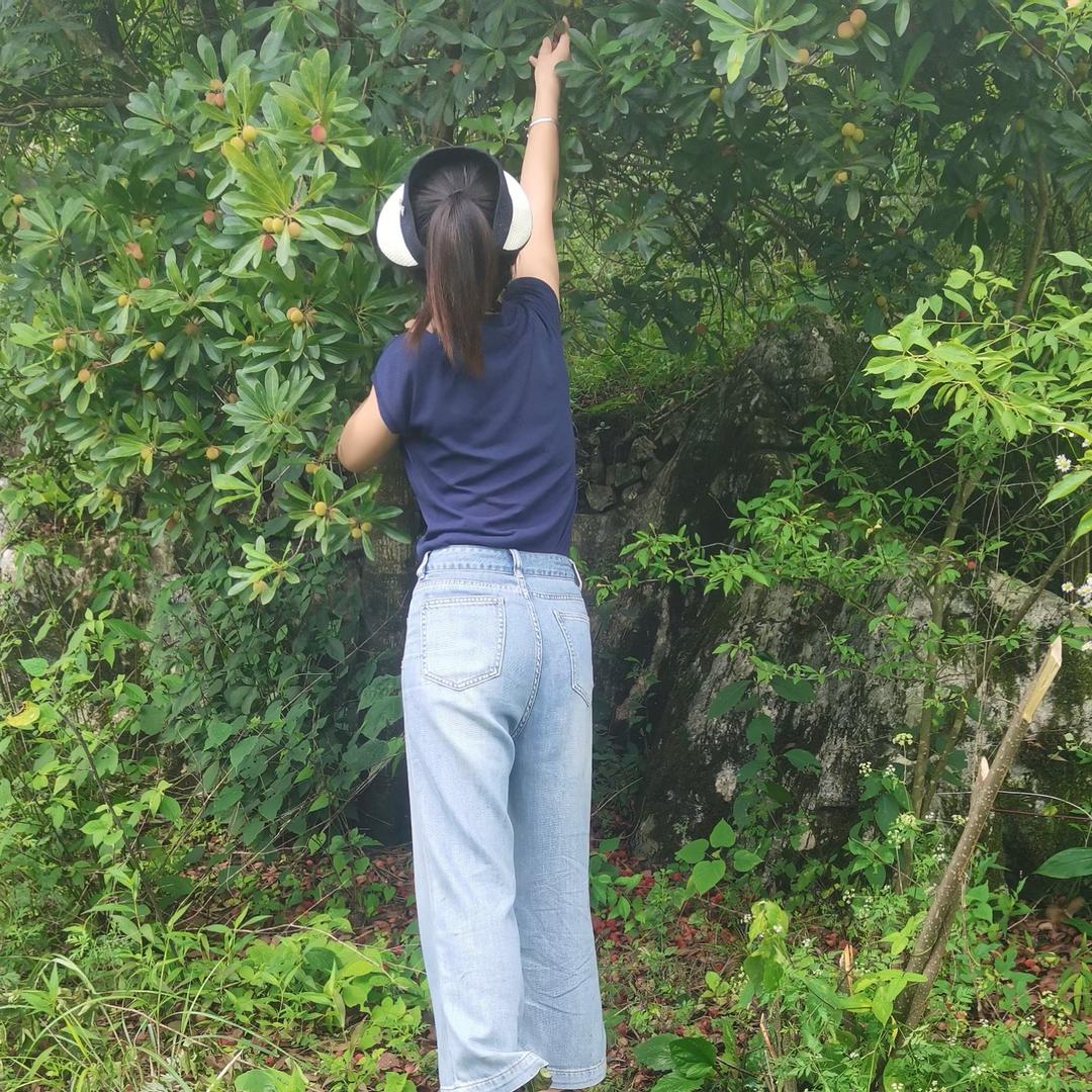 酒酿小鱼干儿🐟