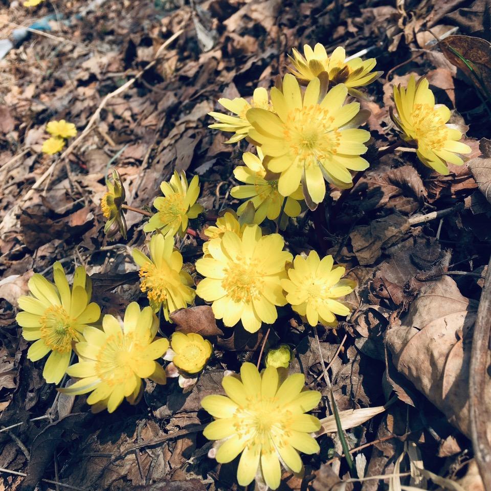 天天心情好美丽