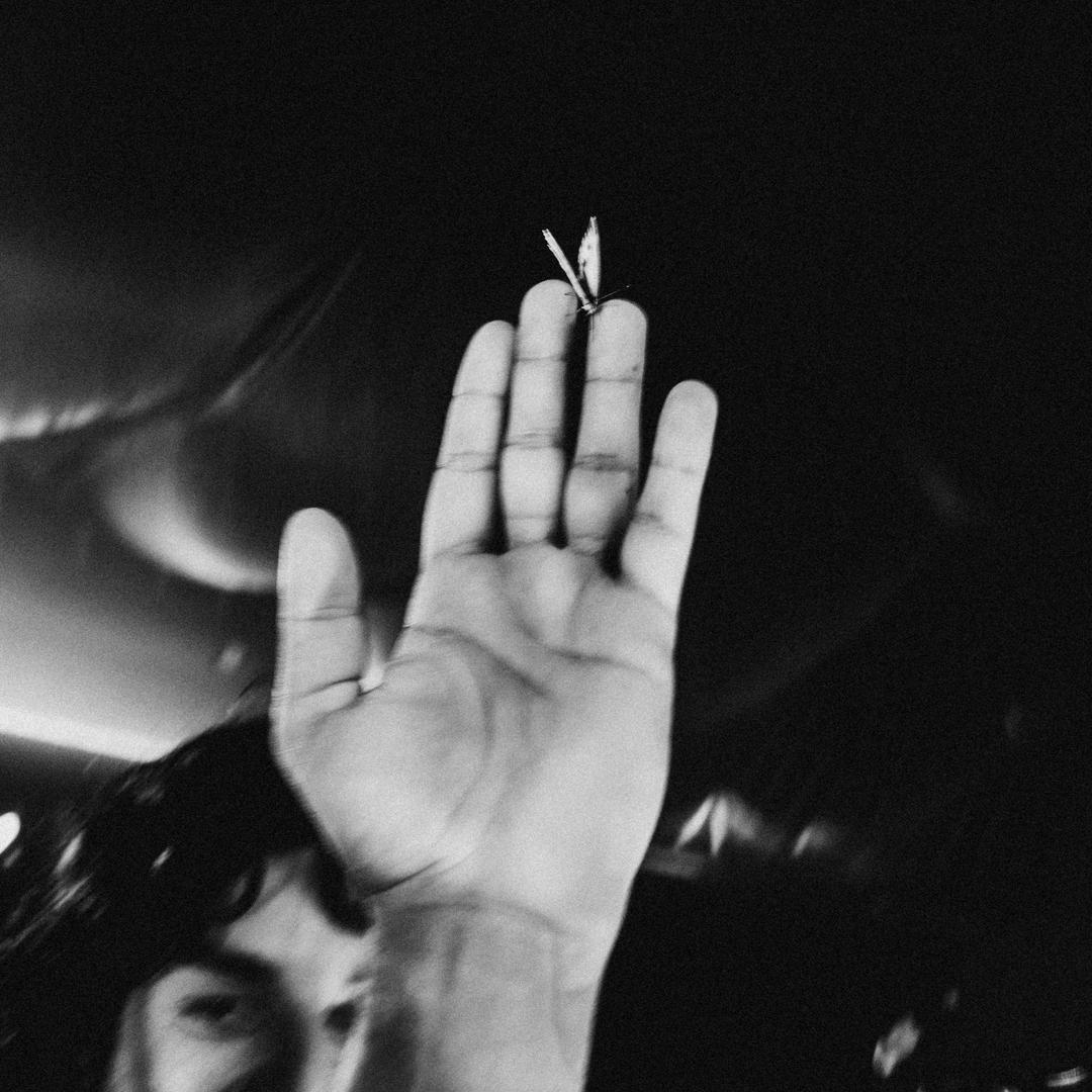 今天卷毛乖不乖