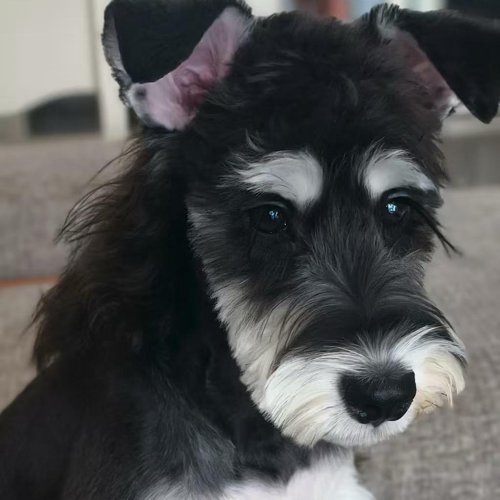 时光与雪🐕‍🦺