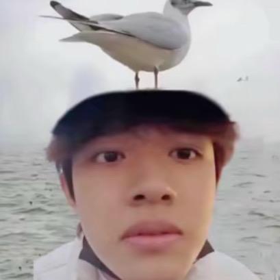秋不甜