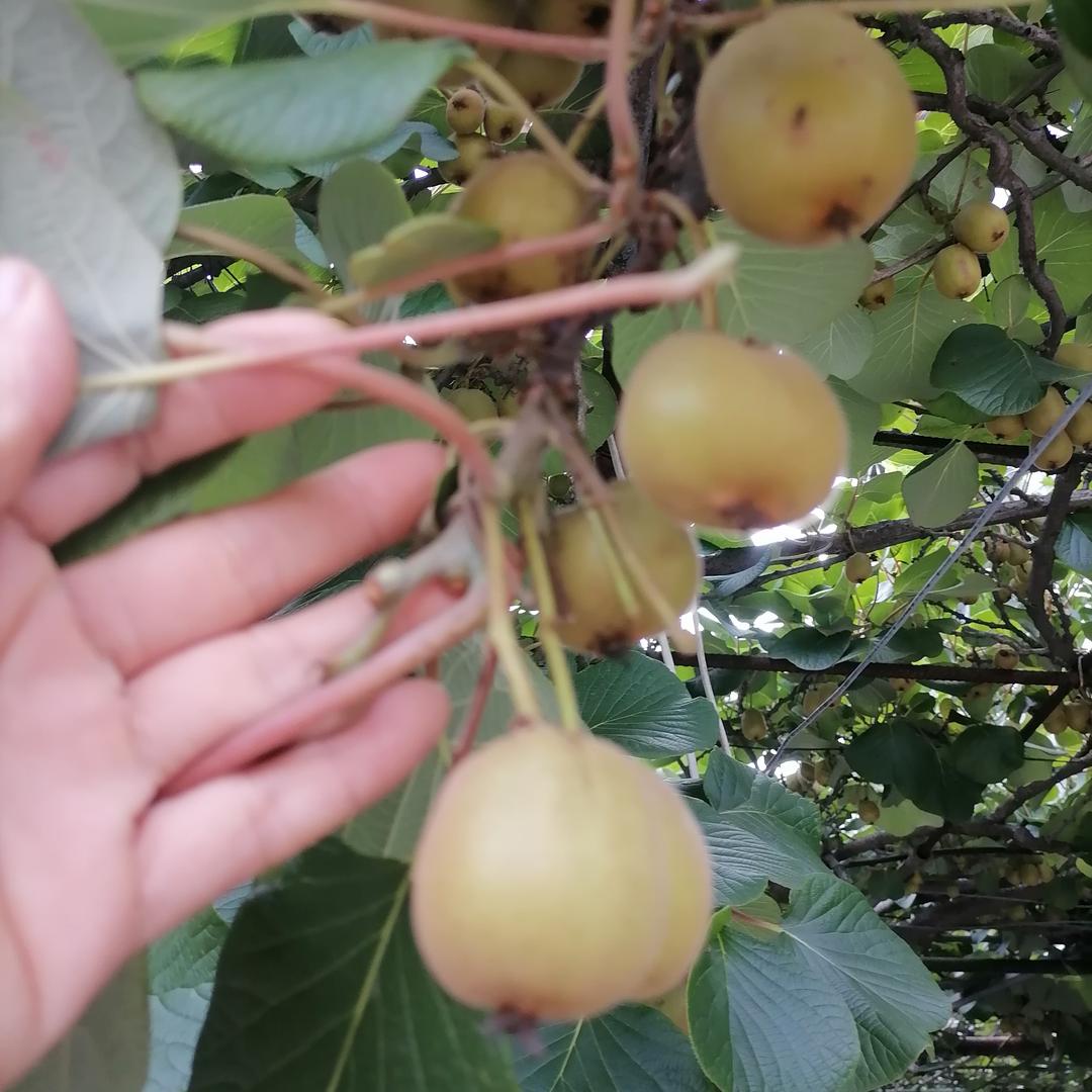 人要有一颗良好的心