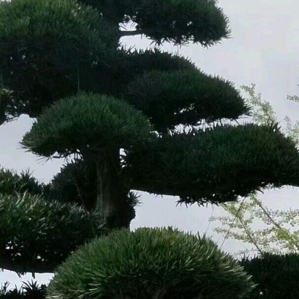 阿乐传媒1