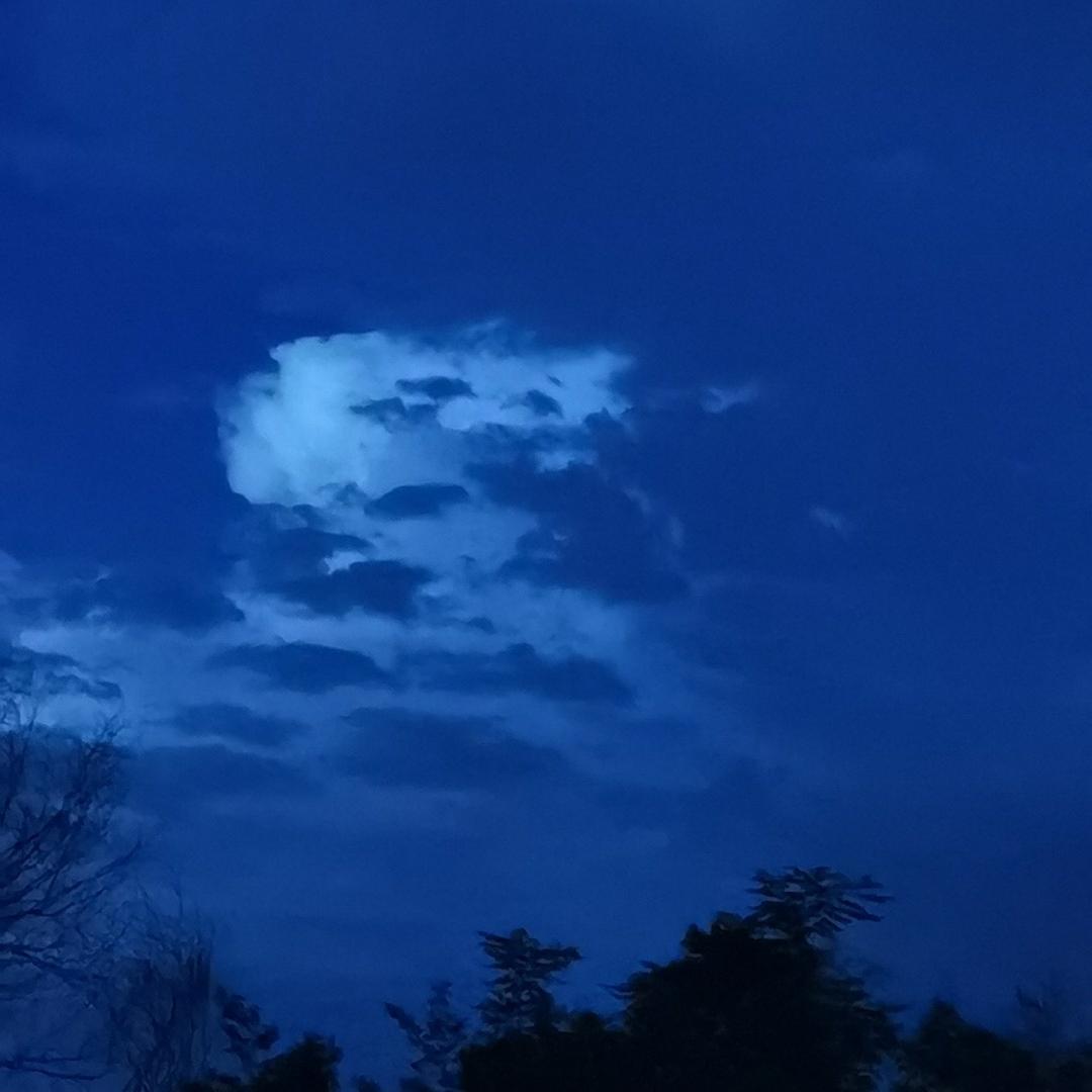 珍惜所有