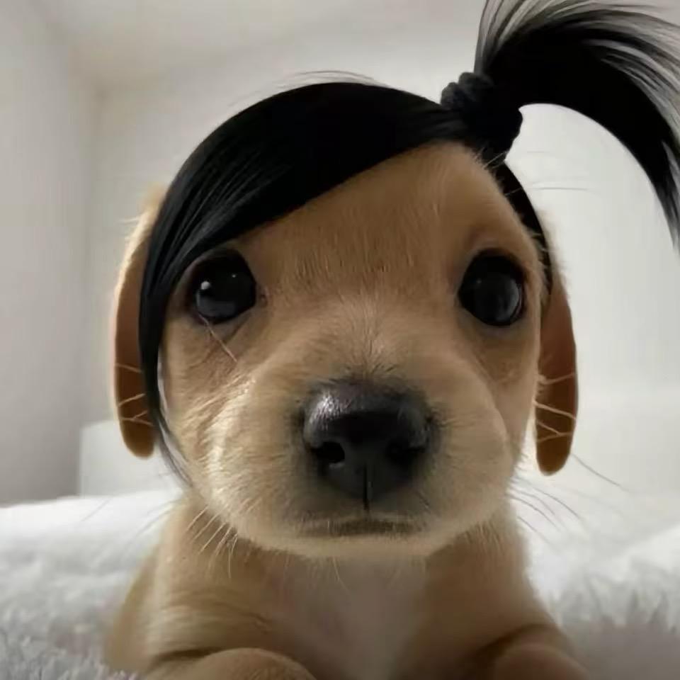 你怎么不说话