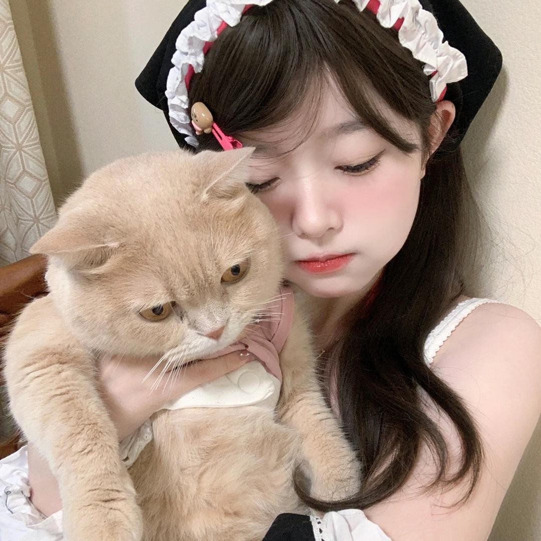 发财的猫🐱