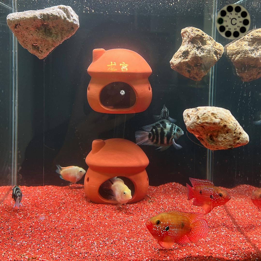 大利鱼缸悬浮造景