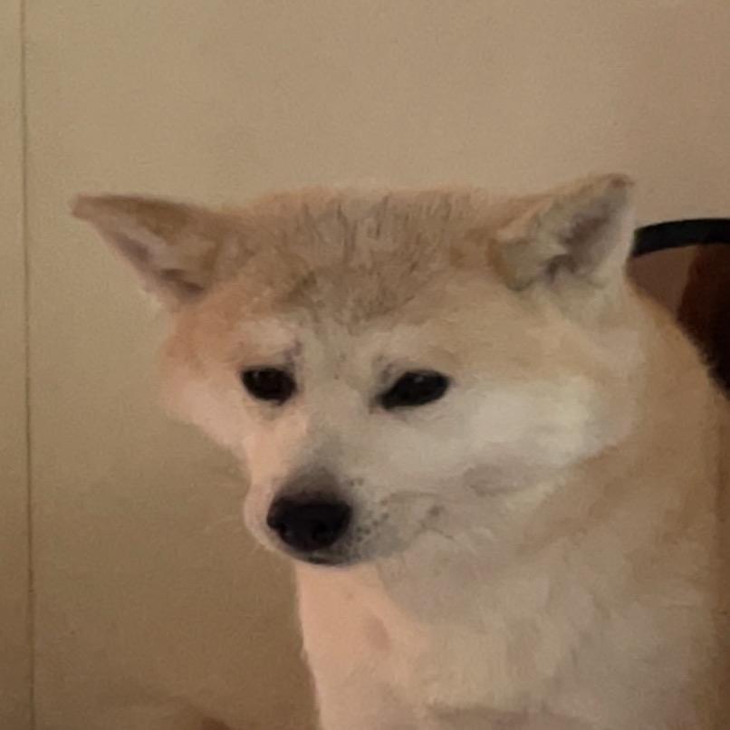 薛富贵
