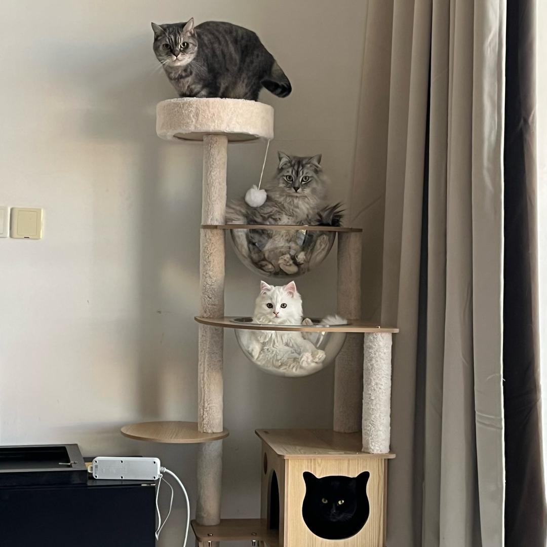 ✨🫧💭☁️⛅️🌤️☀️🫧✨