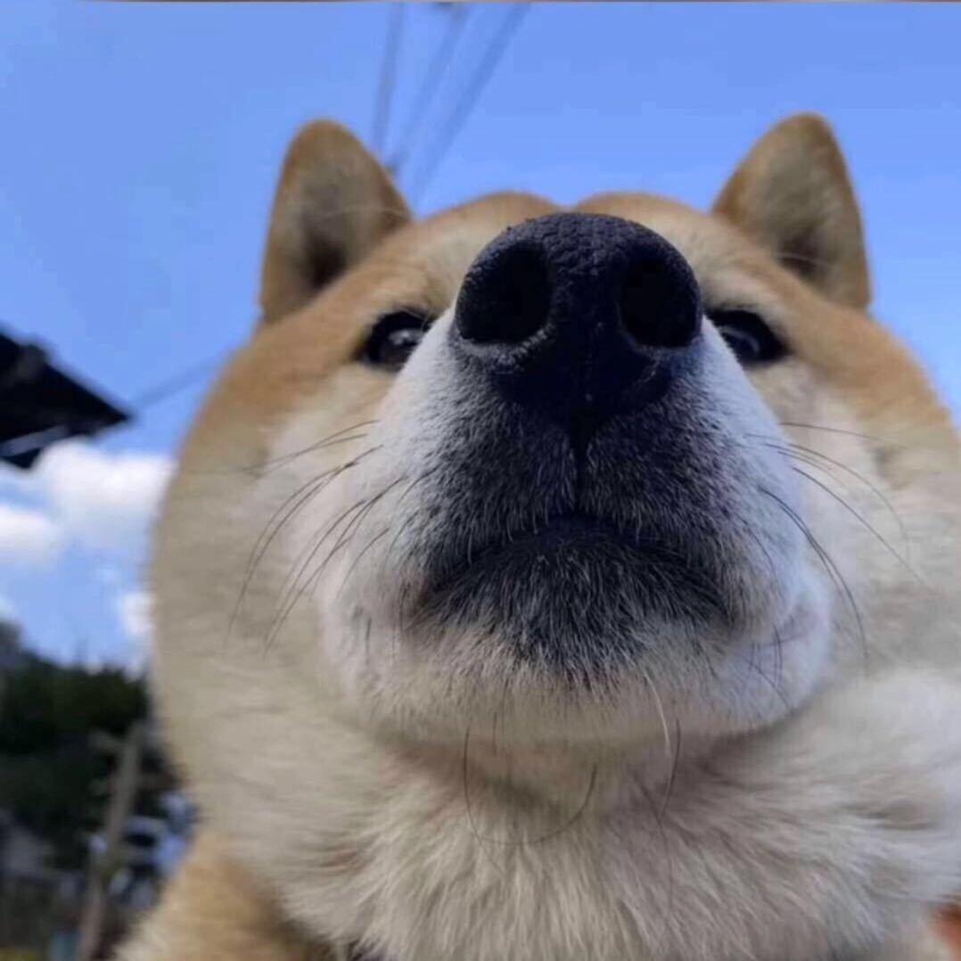 李打滑