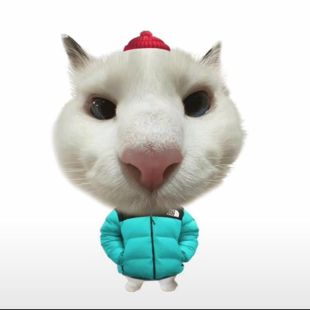 把好饭拼给你吃