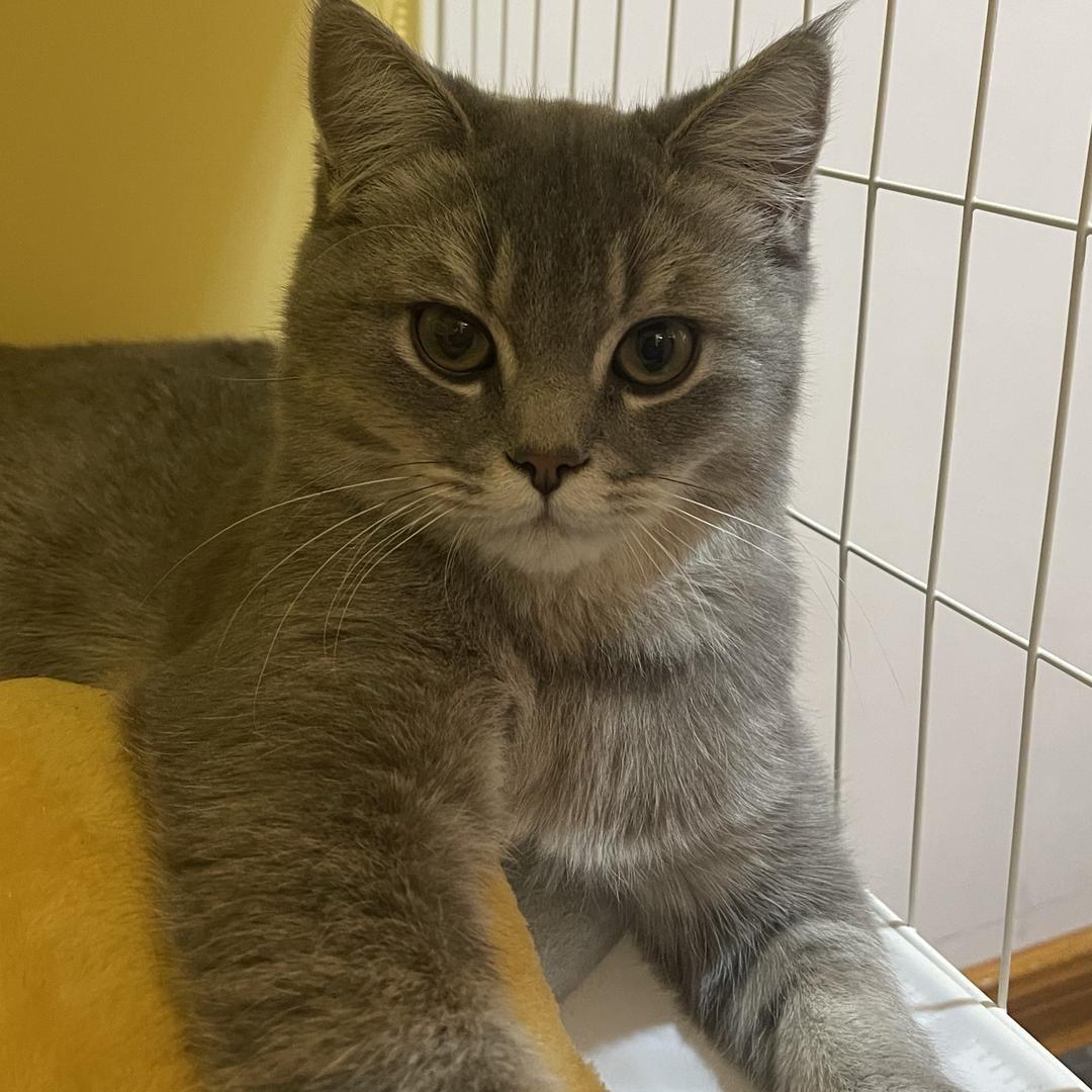 来福朵朵的小窝