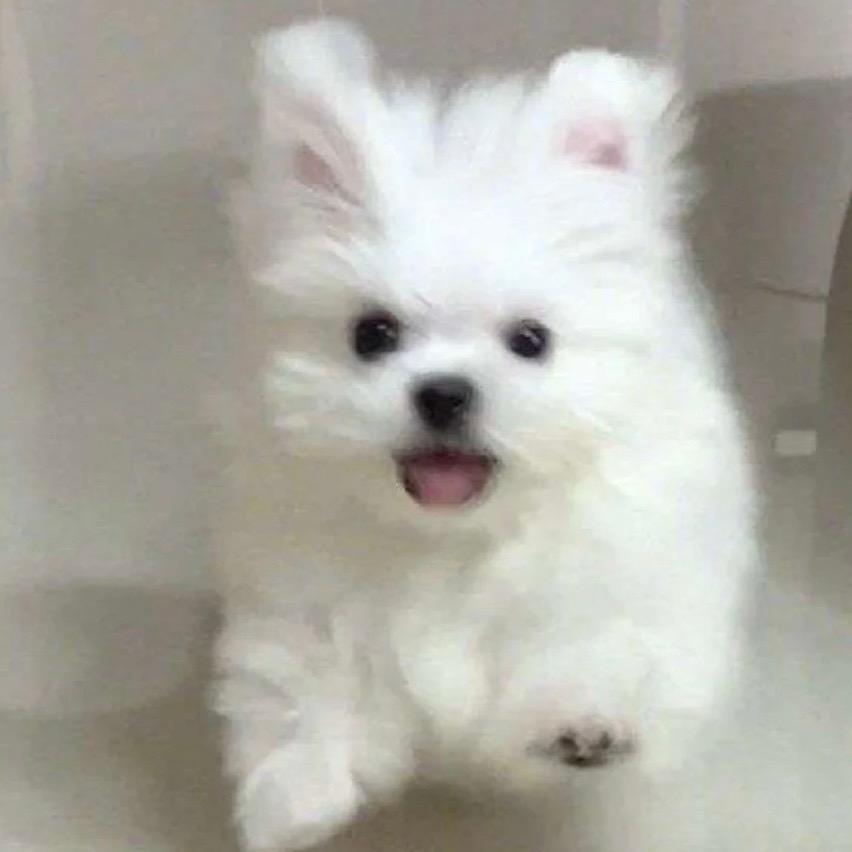 可爱多不过期