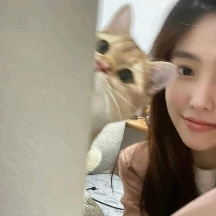 楽楽.