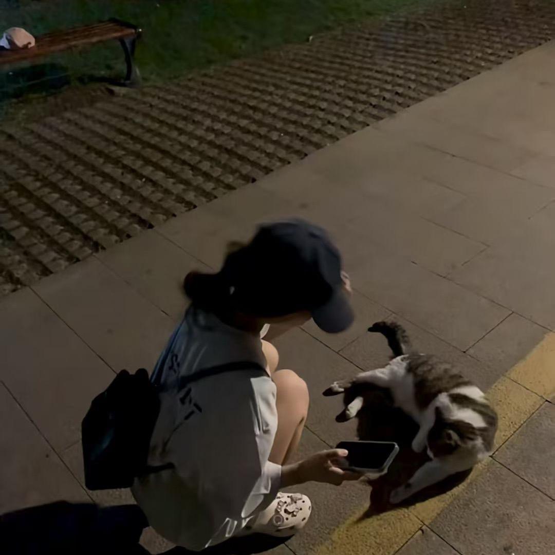 一只幸运猫
