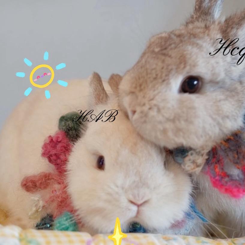 喜欢穿裙子🫧🎀