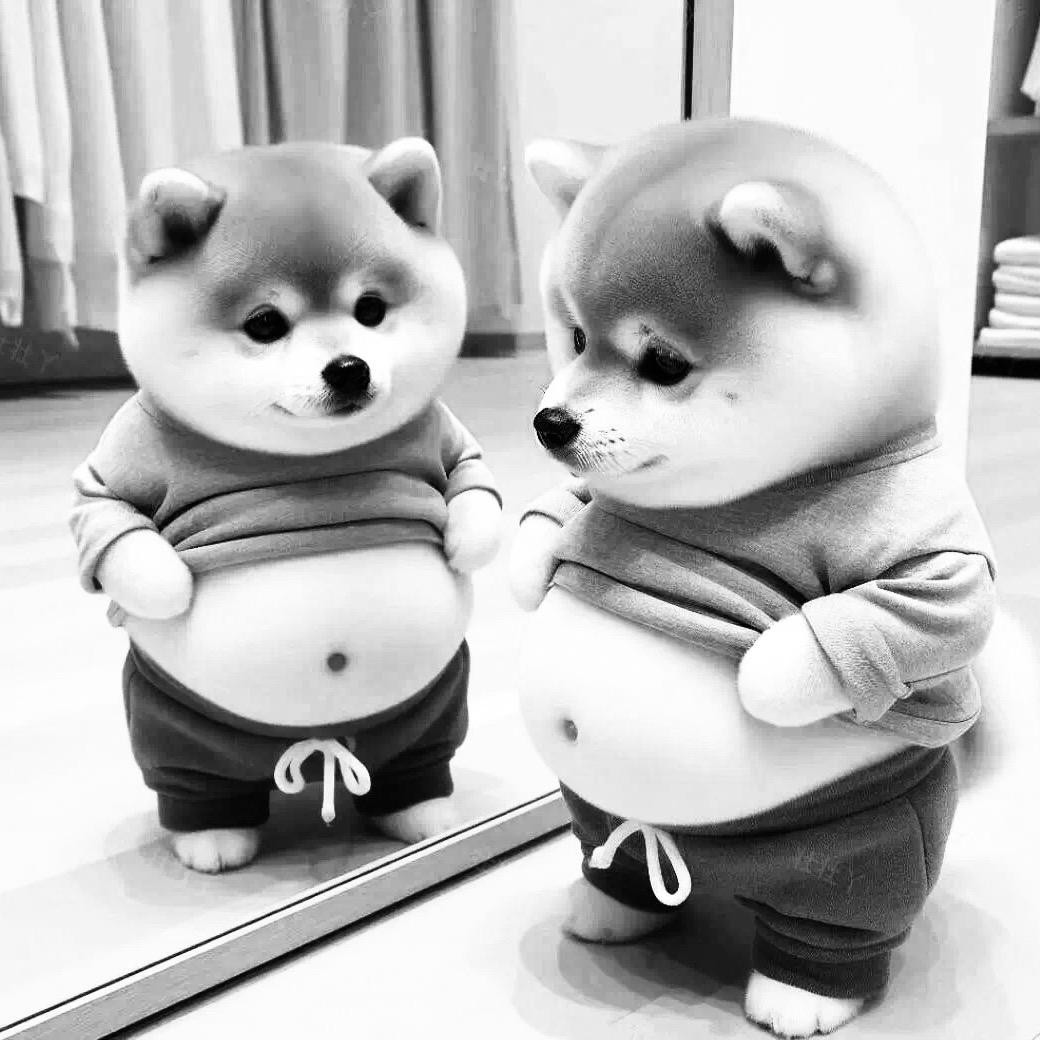 🇨🇳 Mr    H࿐ 💋