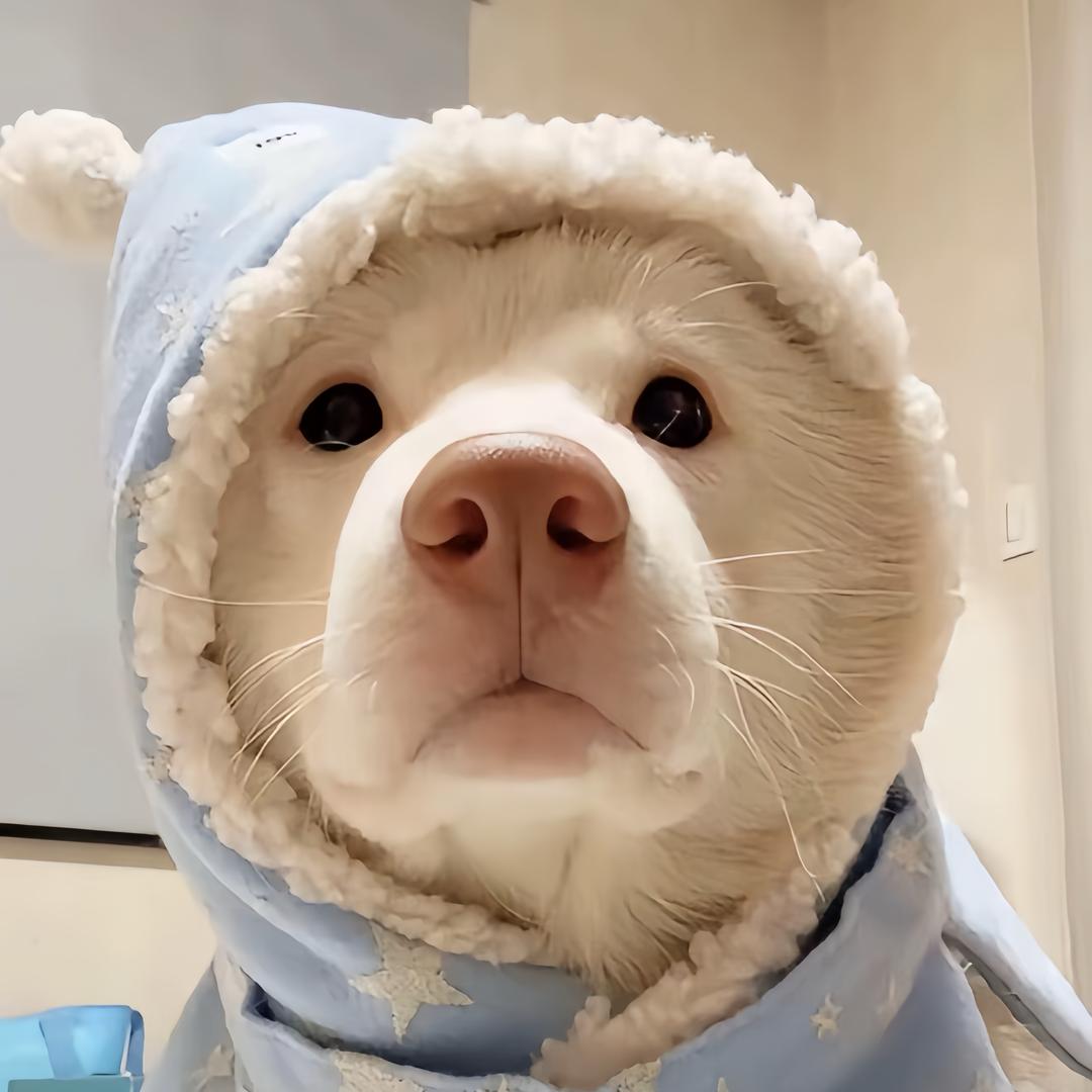 快乐小谭