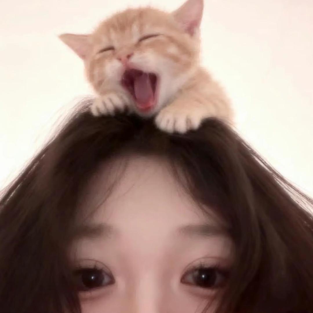 喜欢浏览丑的