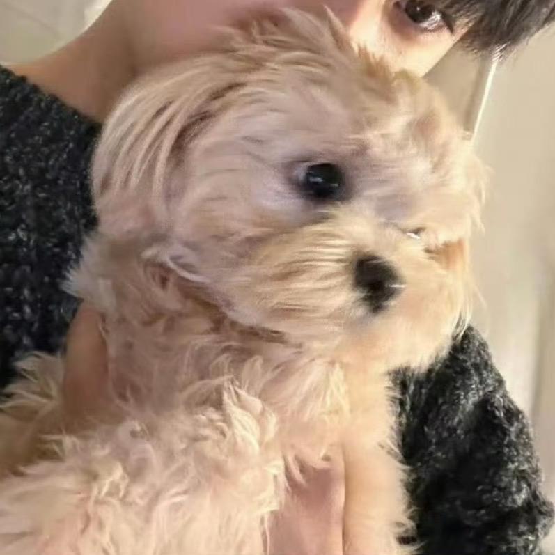 kimminkyu