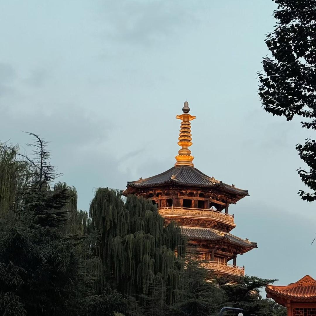 否极泰来【正一】