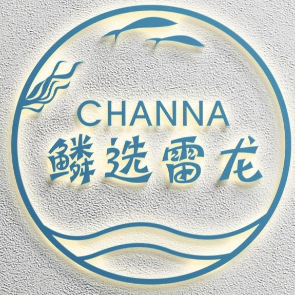 鳞选雷龙工作室