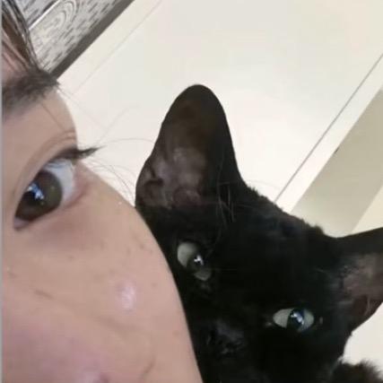 巷口的猫.