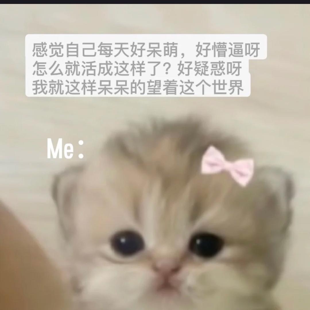 生菜ㅤㅤㅤㅤㅤㅤㅤ