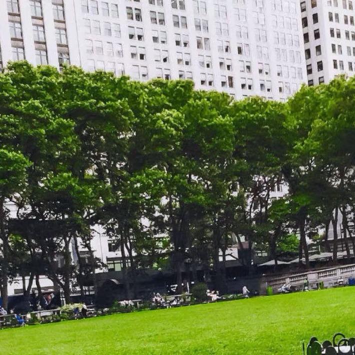 @随风摇曳