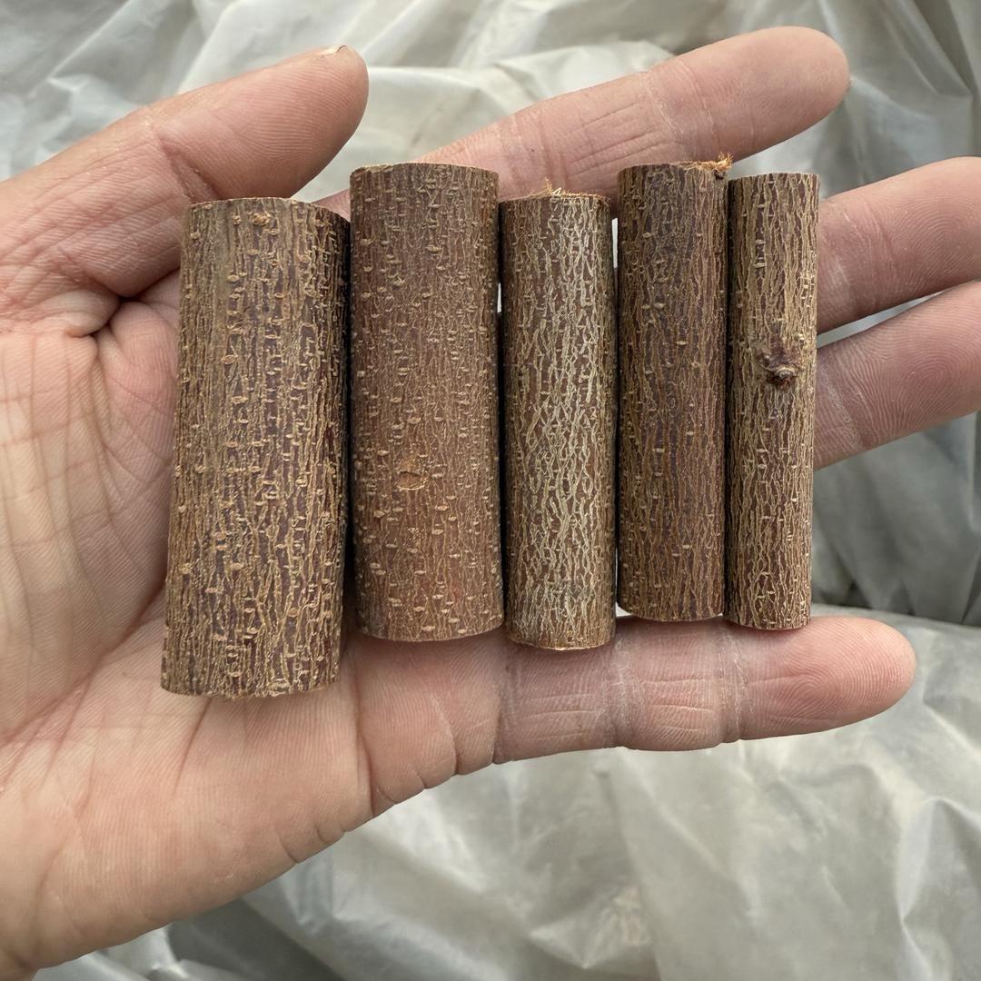 小英家桃树枝