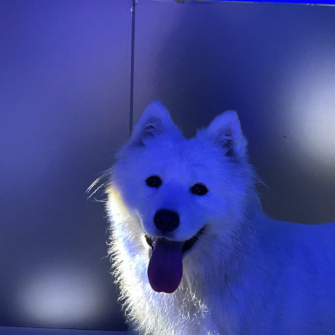 八十八^_^
