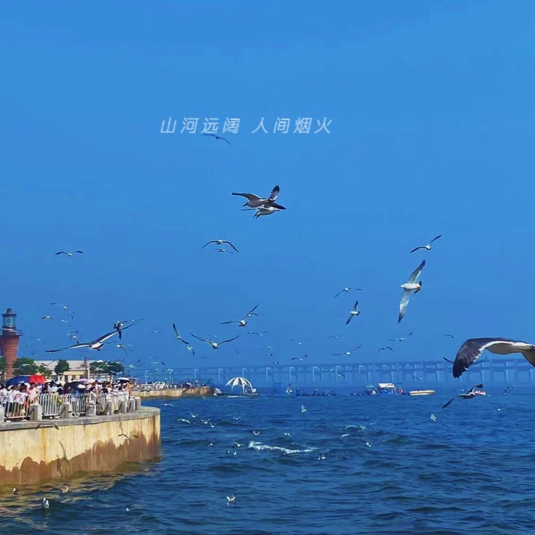 嘎嘎有钱嘎嘎瘦